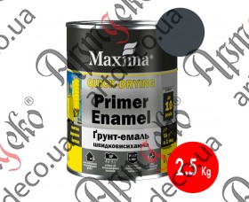 Maxima paint 3 in 1 glossy graphite 2,5L - picture