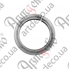 Ring 100x12 - picture