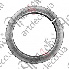 Ring 170x12 - picture